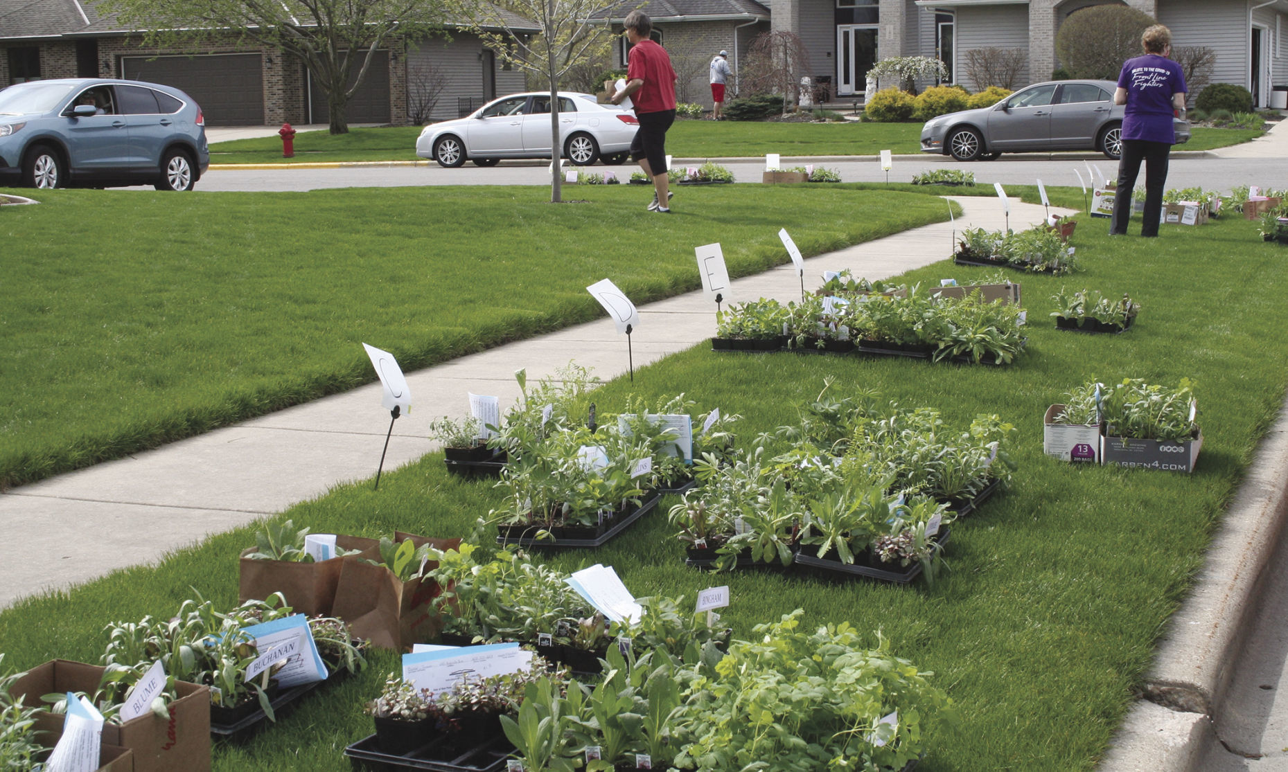 Planting time